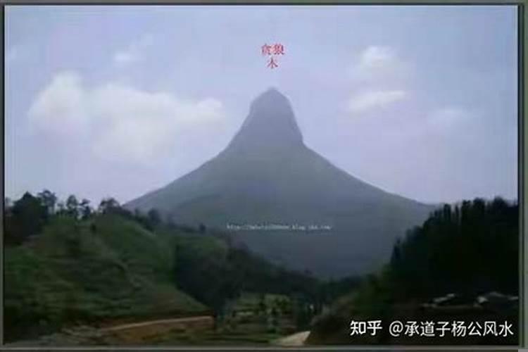 家中放什么挡煞最好