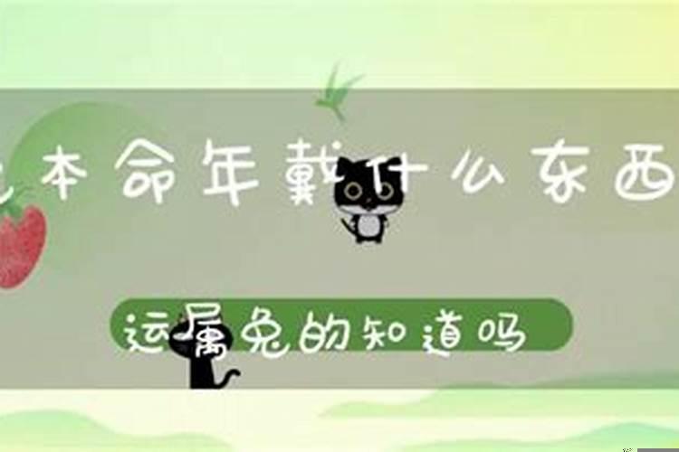 属兔带什么东西能转运