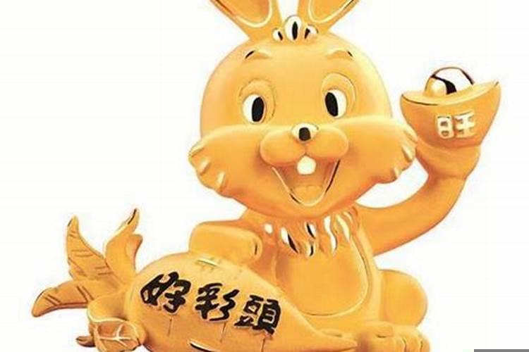 属兔带什么东西能转运