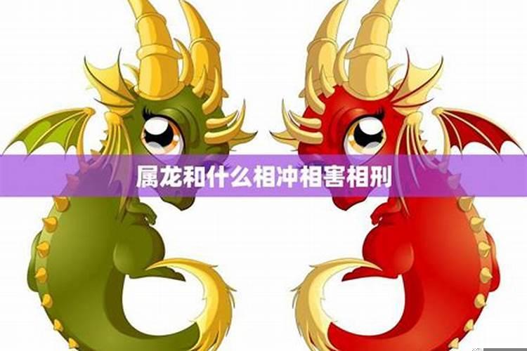 属鸡和属狗不合怎么化解