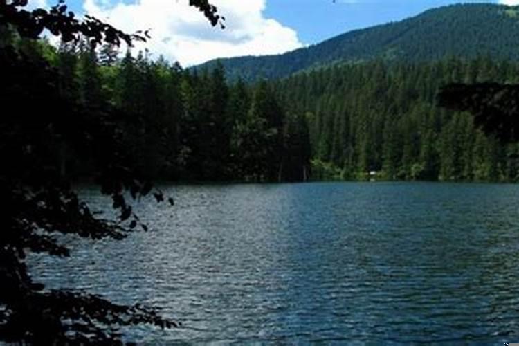 十二星座中运气最好的星座是什么