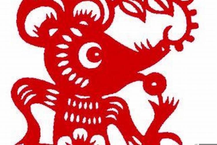 属鼠人今年财运方向