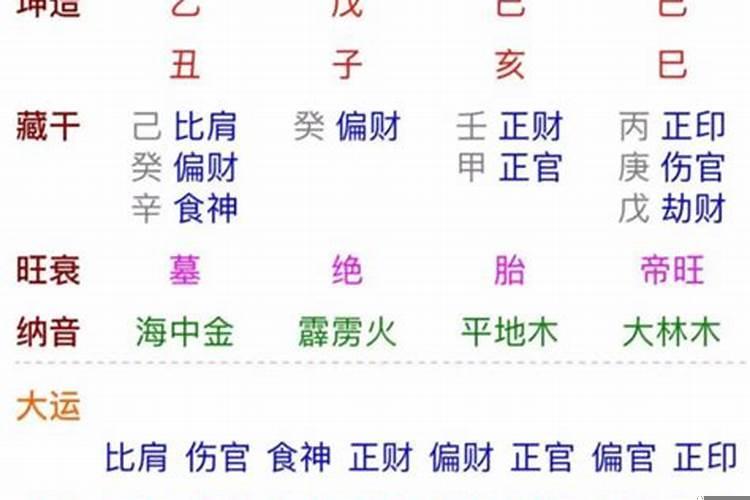 己亥日丁卯时女命