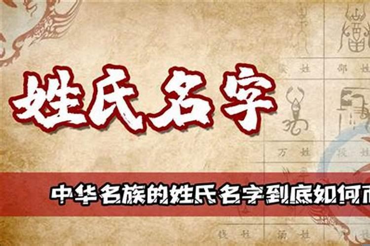 姓别婚姻是什么意思