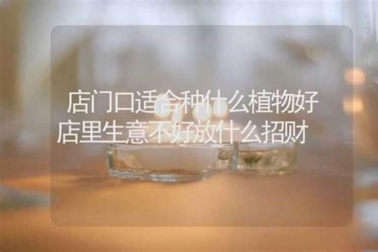 开店门口摆放啥招财