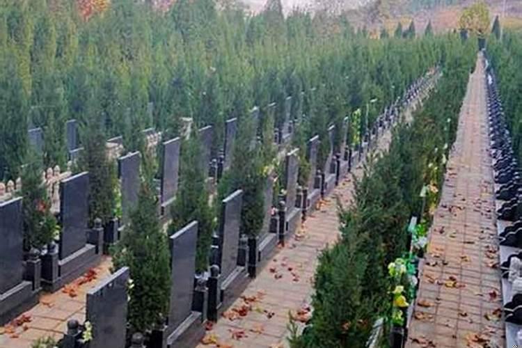 买墓地应该怎么选择呢