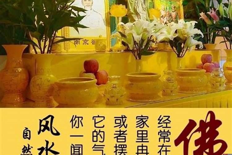 全国十大最宜居城市有哪些城市名单