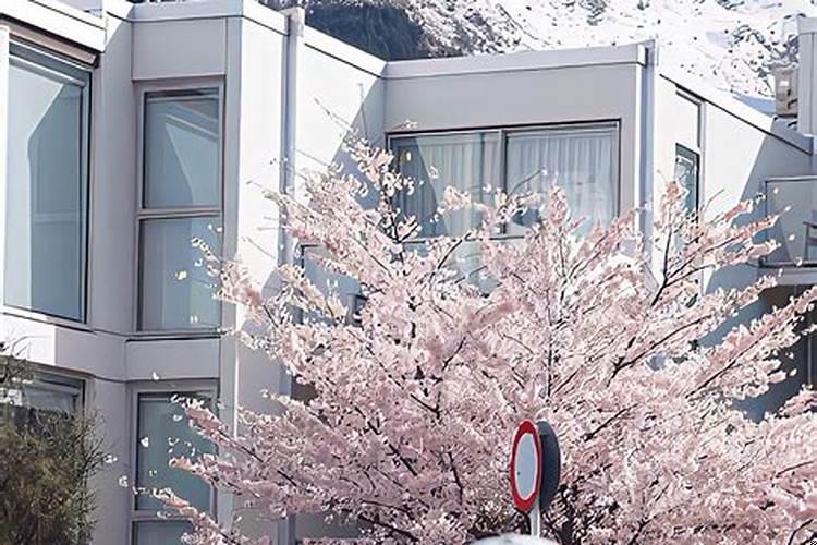 射手座分手后很冷漠