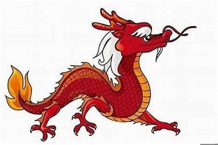 属龙人2021年下半年