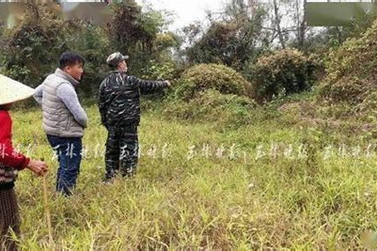 女山头火和男涧下水相配吗