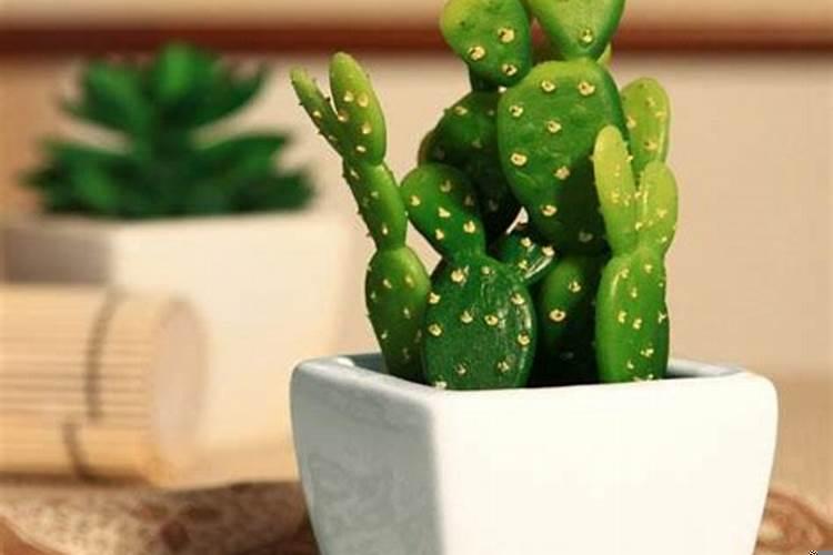 属蛇男跟属虎女今年结婚好不好