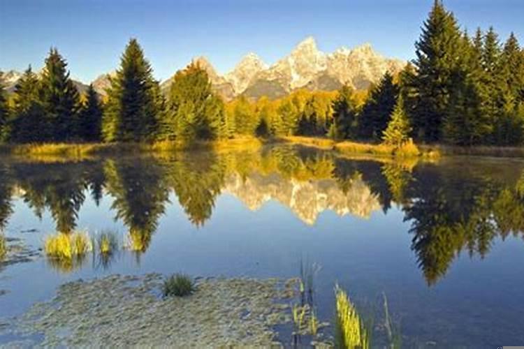 羊天河水命是什么意思