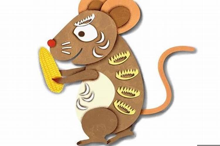 属鼠的女生戴什么招财