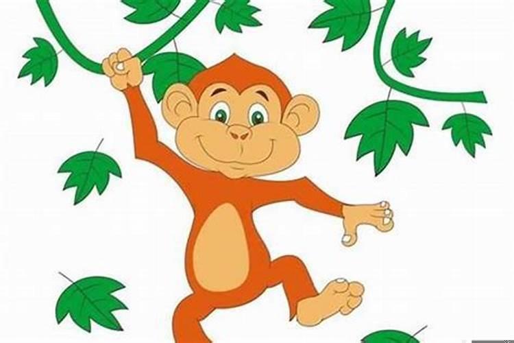 属猴的人是哪些年出生的