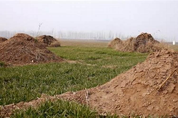 卧室布置风水忌讳