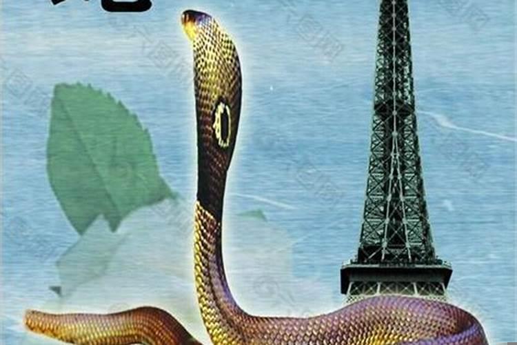 男属龙女属蛇属相合吗