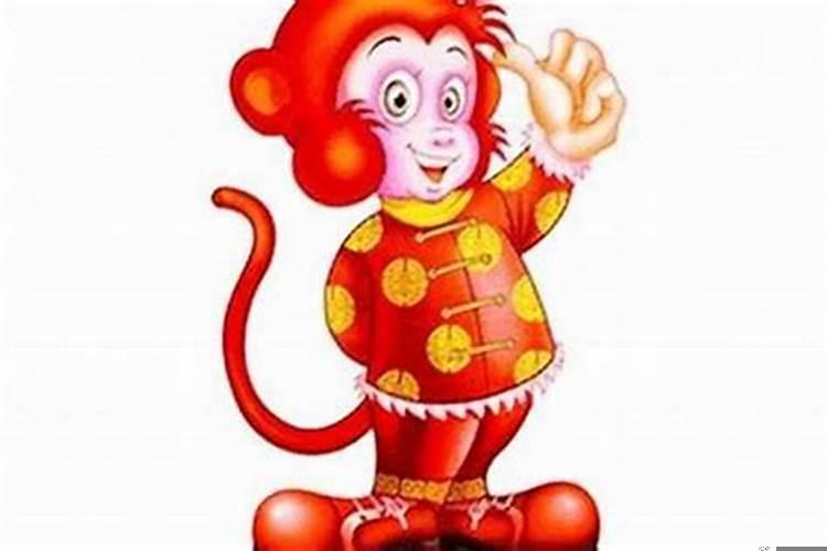 属猴的儿子和属兔的爸爸