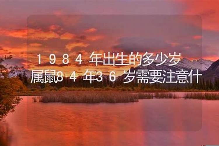 请问1984年出生的人是属什么的