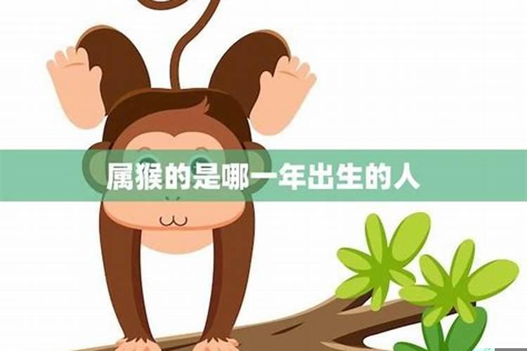 属猴的人是哪些年出生的