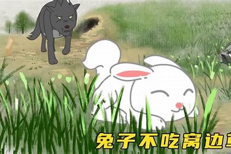 兔年的传说