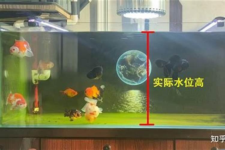 鱼缸长度多少合适