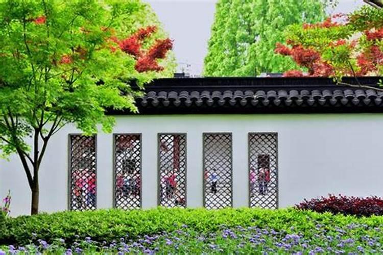 院子里正对大门口栽什么花