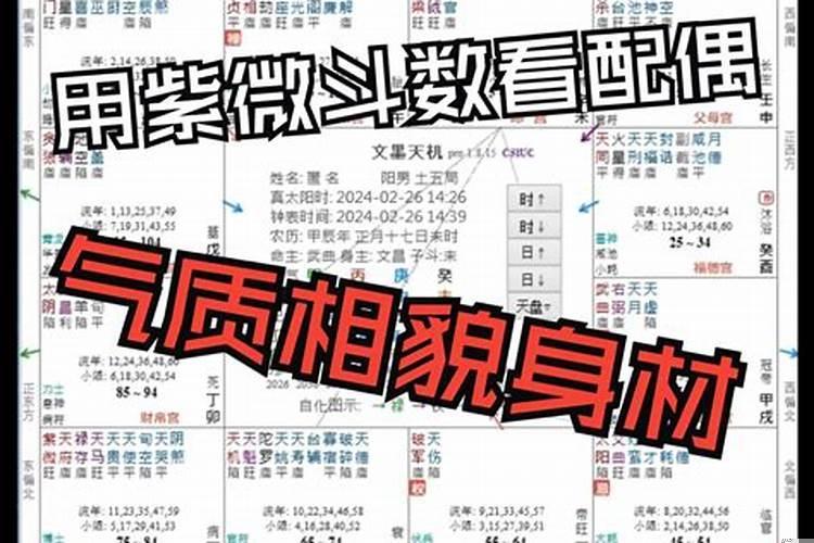 紫微看婚姻准吗