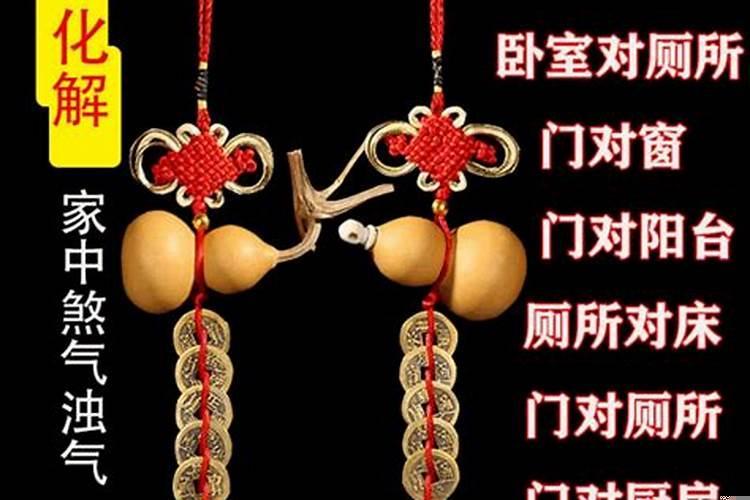 十二生肖一生财运