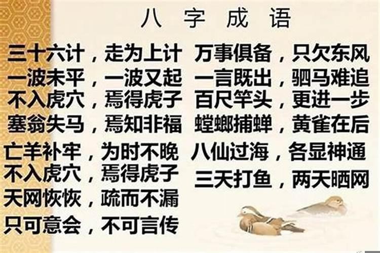 算八字说的话