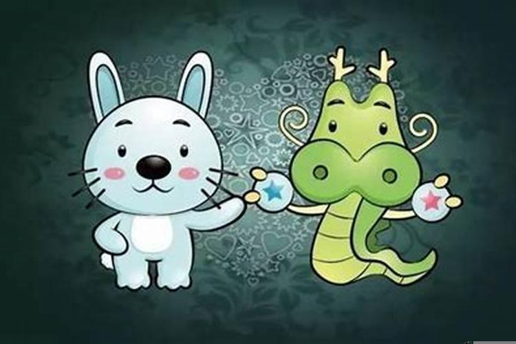 属兔人与属龙人婚配