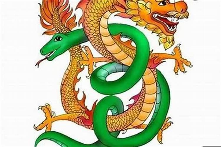 男属龙女属蛇属相合吗