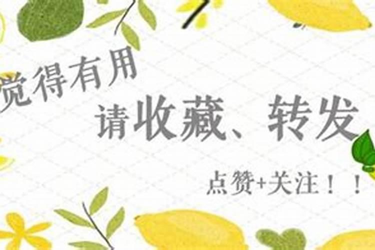 属龙女生于几月好