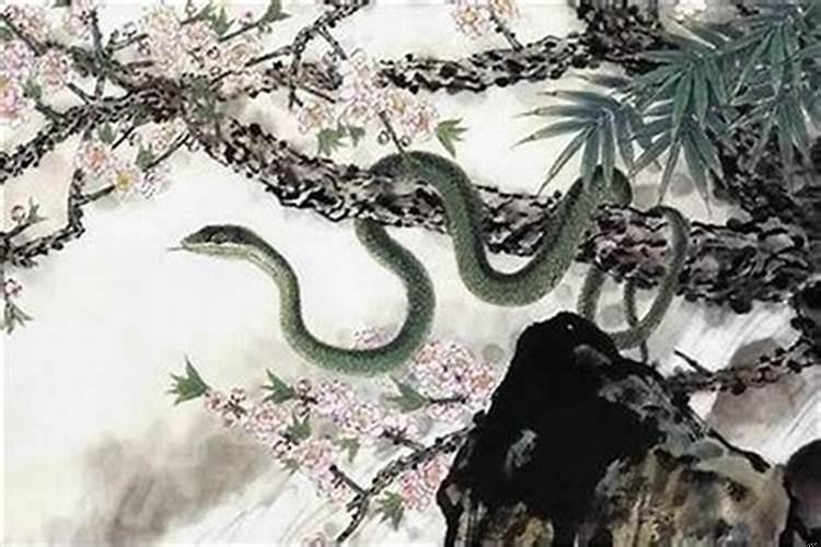 属蛇的不适合从事什么行业