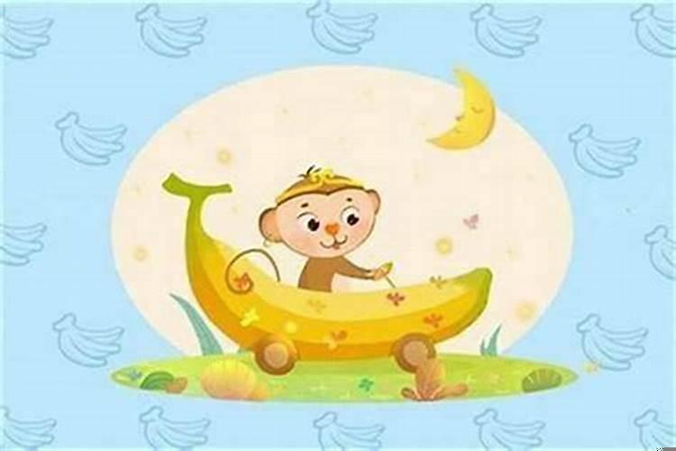 属猴的儿子和属兔的爸爸