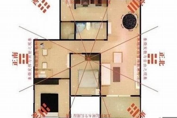 财位可以放什么东西