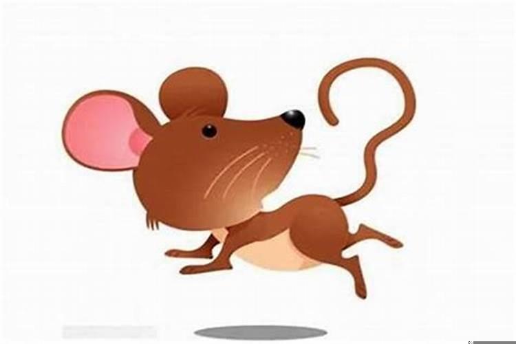 生肖鼠和生肖蛇在一起会怎么样