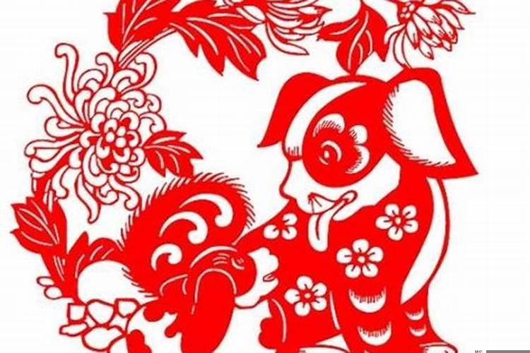 属狗的本命结婚了好不好