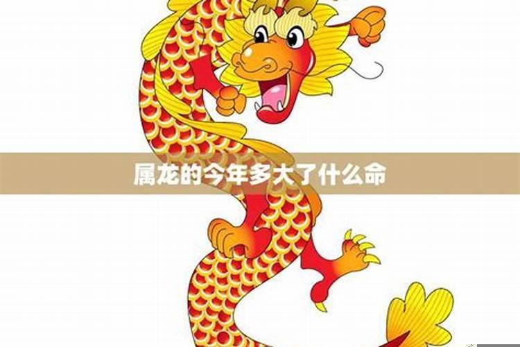 今年属龙的年龄