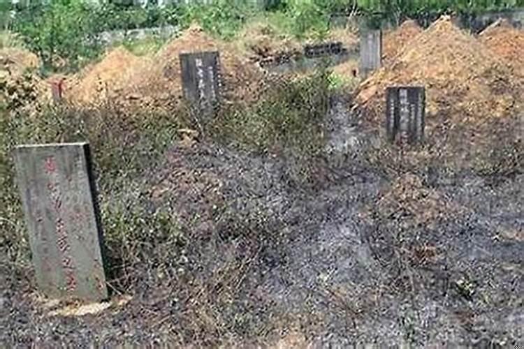 坟地对家人的影响