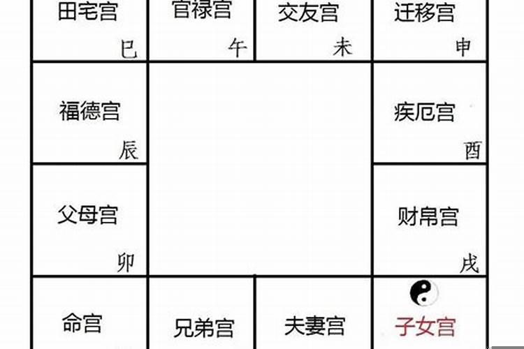 父母对宫是哪个宫