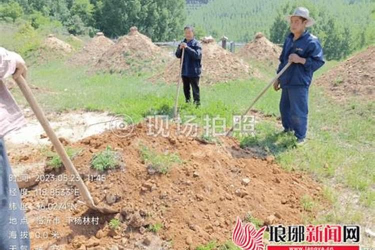 坟搬迁怎么赔偿的