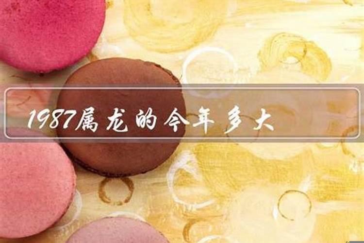 属属龙的今年多大财运