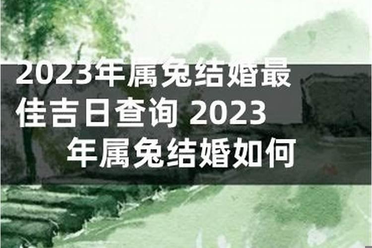 2025年属兔本命年是多大