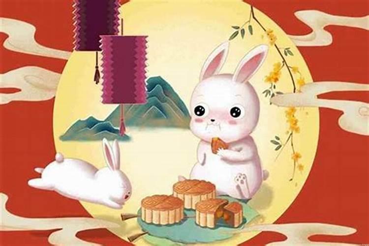 75年生肖兔是什么命