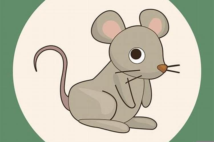 鼠是鼠的贵人吗