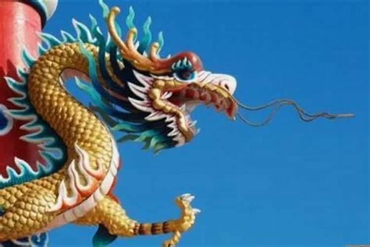 属龙的上司属相