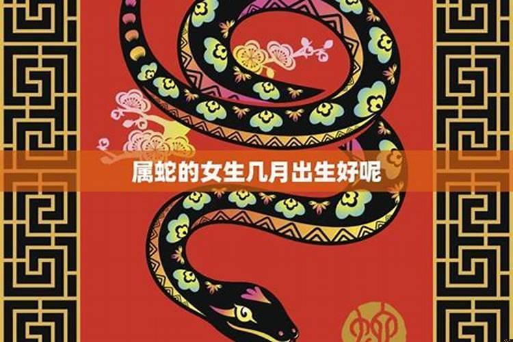 属蛇这个月考试怎么样