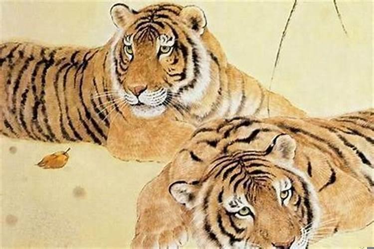 1998年属虎和属虎的婚姻好吗