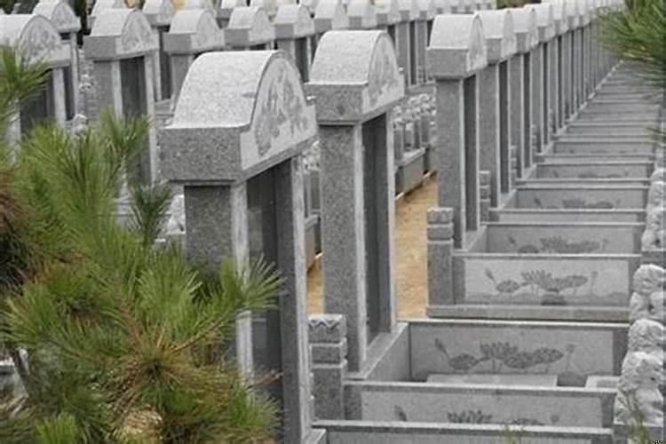 坟地对家人的影响