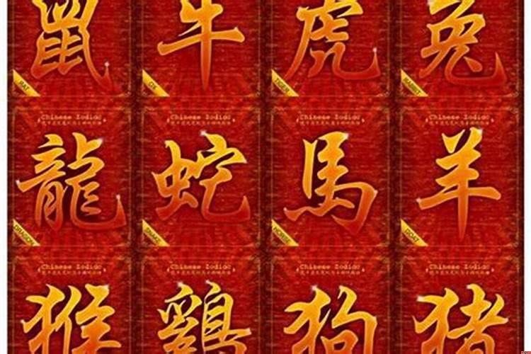 十二生肖居住最吉利的楼层